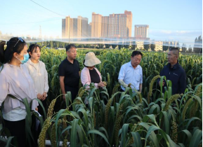 內(nèi)蒙古農(nóng)牧業(yè)科學院農(nóng)作物研究與發(fā)展