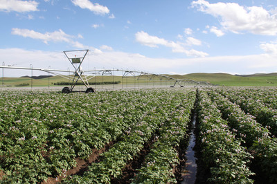 內(nèi)蒙古農(nóng)作物良種覆蓋率達98%以上，現(xiàn)代農(nóng)業(yè)發(fā)展邁上新臺階