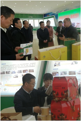 省農(nóng)業(yè)農(nóng)村廳赴陳倉區(qū)慕儀鎮(zhèn)調(diào)研 聚焦農(nóng)作物產(chǎn)業(yè)發(fā)展，助推農(nóng)業(yè)現(xiàn)代化升級