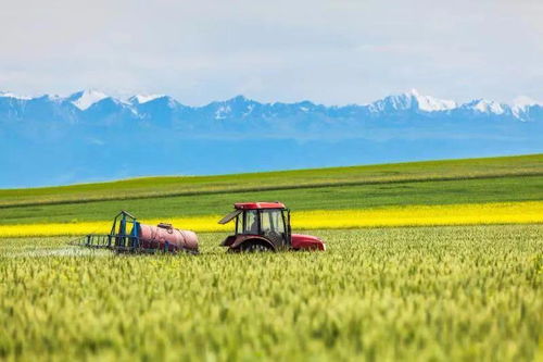 未來十年餐桌變革 智慧農(nóng)業(yè)如何重塑我們的米袋子與菜籃子